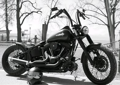 Harley Davidson 