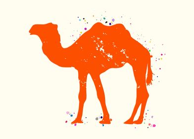 Camel