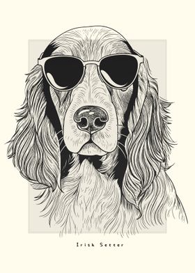 Irish Setter Illustration