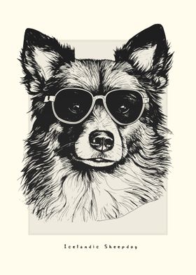 Icelandic Sheepdog Sketch