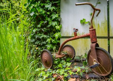 Tricycle and vegetation