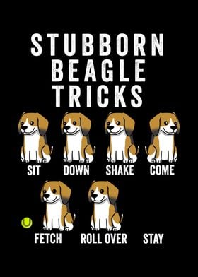 Stubborn Beagle Tricks 