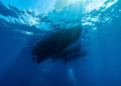 Underwater View