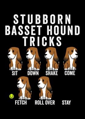 Basset Hound Tricks