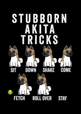 Stubborn Akita Tricks 