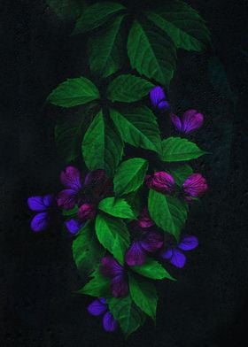 Leaves and Purple Flowers