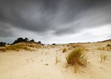 Shifting sand dunes