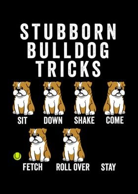 Stubborn Bulldog Tricks