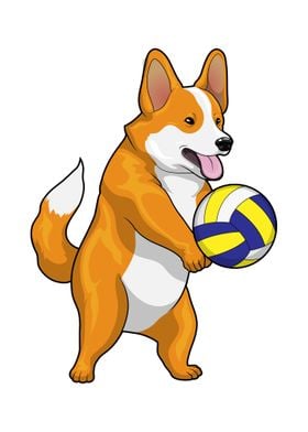 Corgi Volleyball