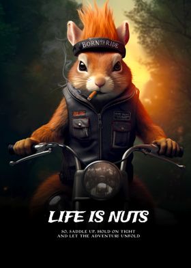 Life is Nuts