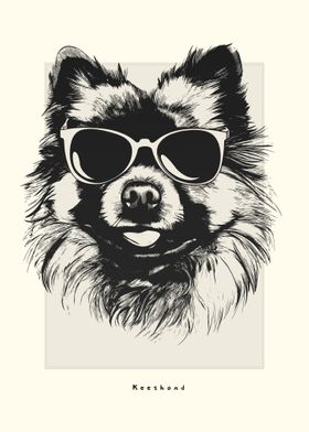 Keeshond Illustration