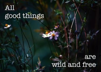 All Good Things Quote