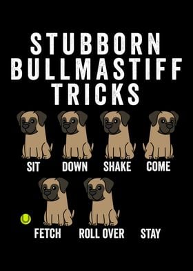 Bullmastiff Tricks