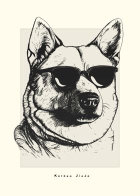 Korean Jindo Illustration