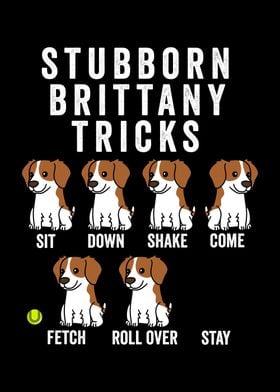 Brittany Spaniel Tricks