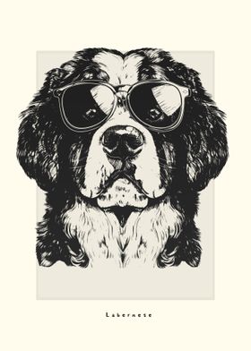 Labernese Illustratiion