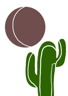 the aesthetic cactus