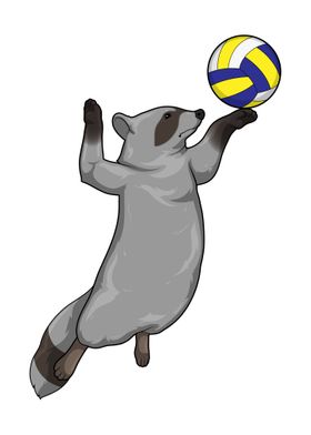 Racoon Volleyball