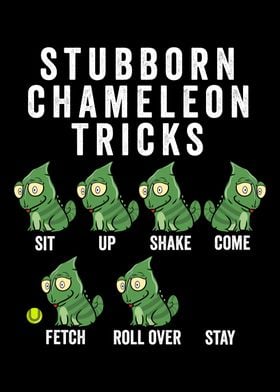 Stubborn Chameleon Tricks 