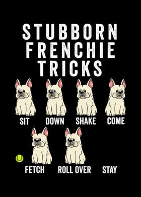 French Bulldog Tricks