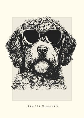 Lagotto Romagnolo Sketch