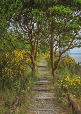 Reclaimed by Mother Nature