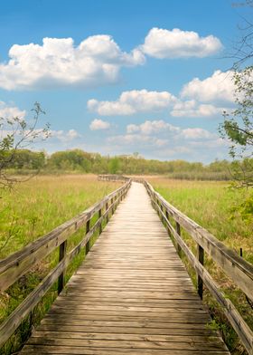 Wooden Path