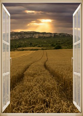 Window view field sunset