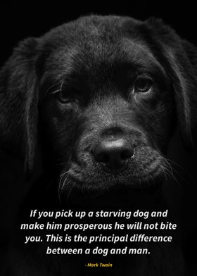 dogs quotes 