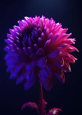 Dahlia Flower