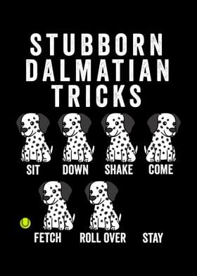 Stubborn Dalmatian Tricks 