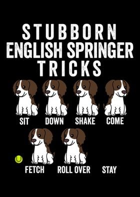 English Springer Tricks