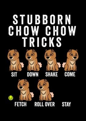 Stubborn Chow Chow Tricks 