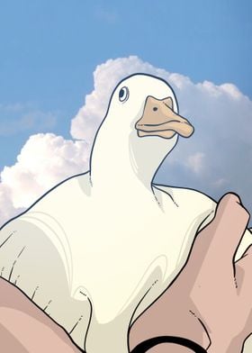 duck and sky