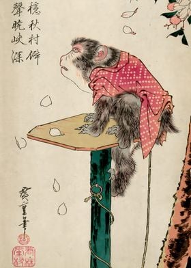 Ukiyo e Monkey Ando