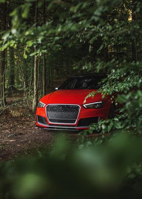 Audi RS 3 in the forest