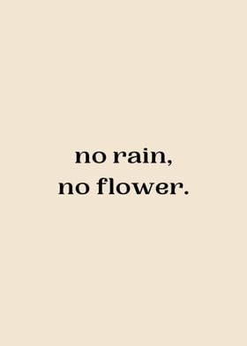 NO RAIN NO FLOWER