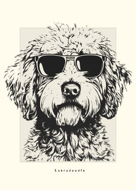 Labradoodle Illustration