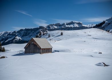 Cottage in the Alps