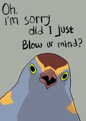 bird meme