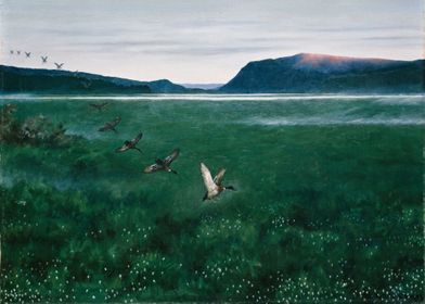 The twelve Wild Ducks 1897