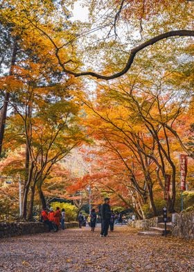 Temple Park in Kyoto Japan