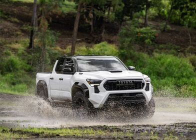 TACOMA TRD PRO 2024