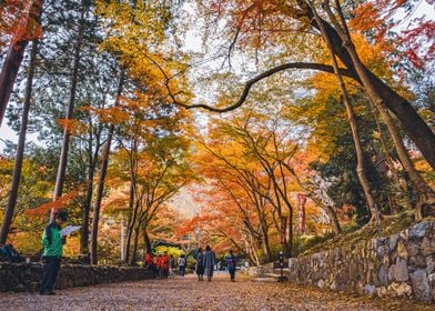 Temple Park in Kyoto Japan