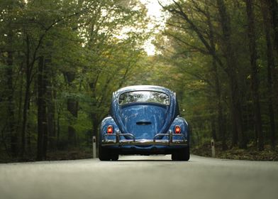 Vw beetle car