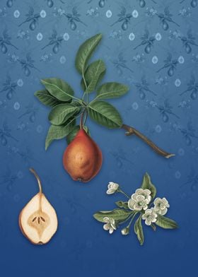 Pear on Bahama Blue