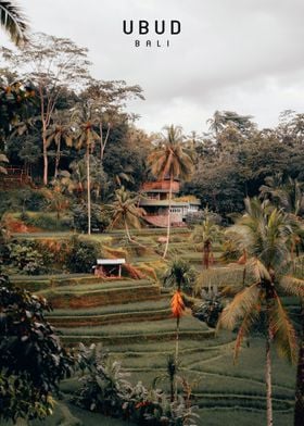 Ubud  