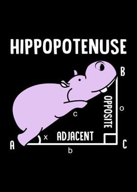 Hippopotenuse Hippo