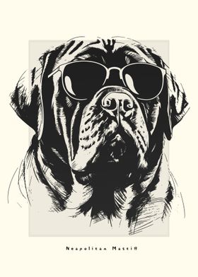 Neapolitan Mastiff Sketch