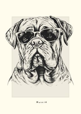 Mastiff Illustration